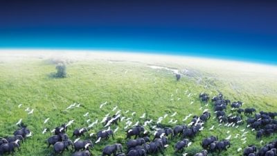 Planet Earth 1.Sezon 9.Bölüm izle