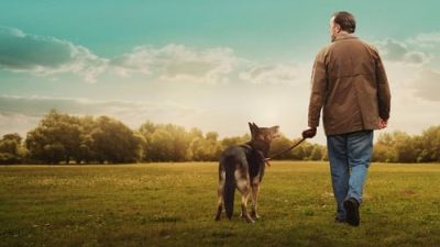 After Life 2.Sezon 2.Bölüm izle