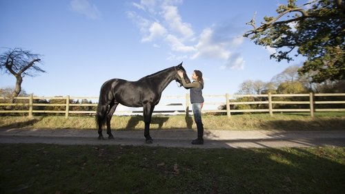 Free Rein 2.Sezon 3.Bölüm izle