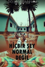 Hiçbir Şey Normal Değil