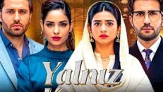 Yalnız Karar 29.Bölüm izle